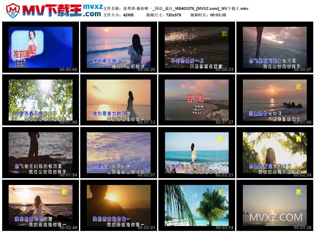 张翠萍-独你唯一_国语_流行_MB403376